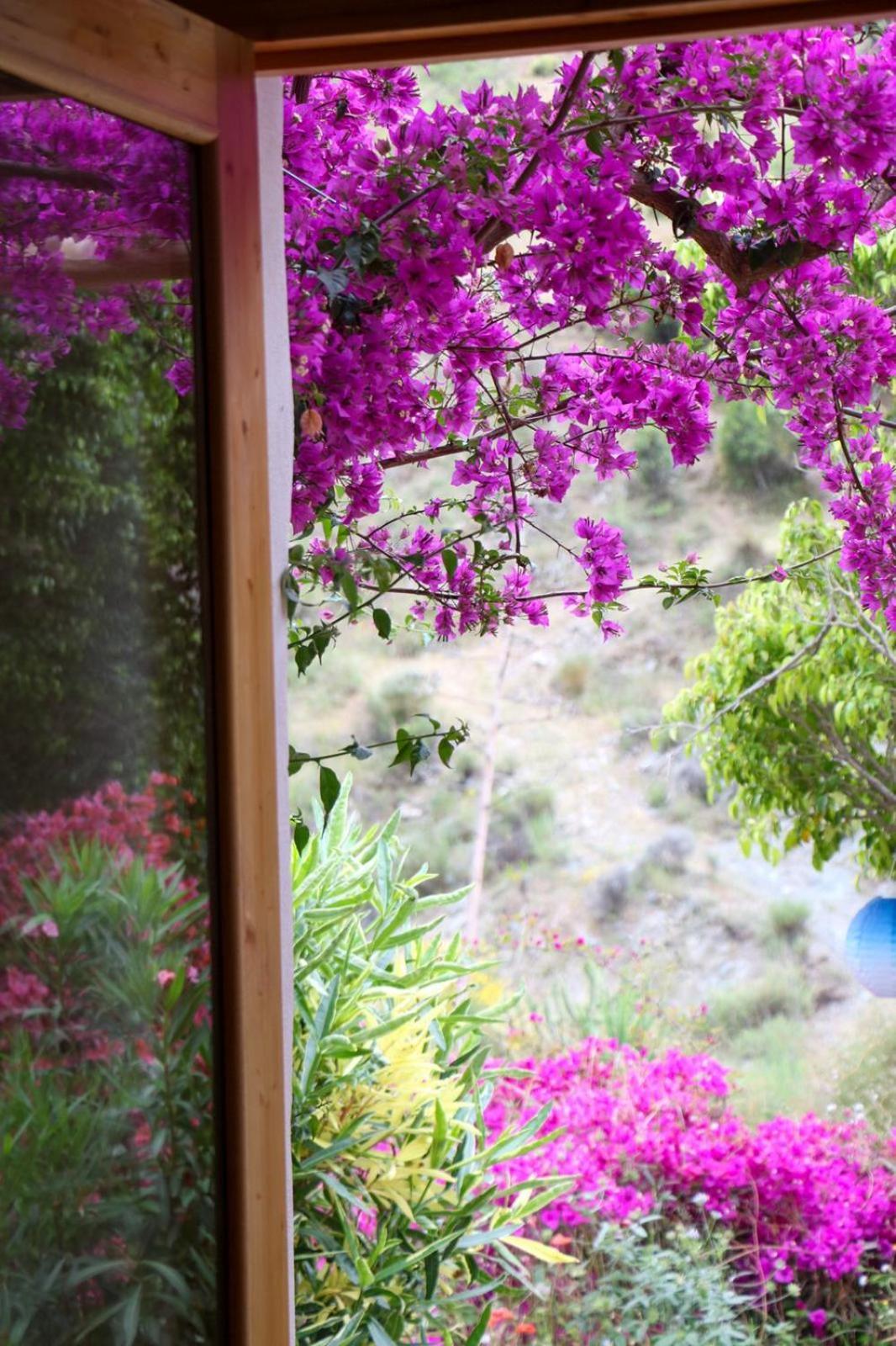 Cortijo Jamaica - Off Grid Paradise - Costa Tropical Los Diaz  Εξωτερικό φωτογραφία